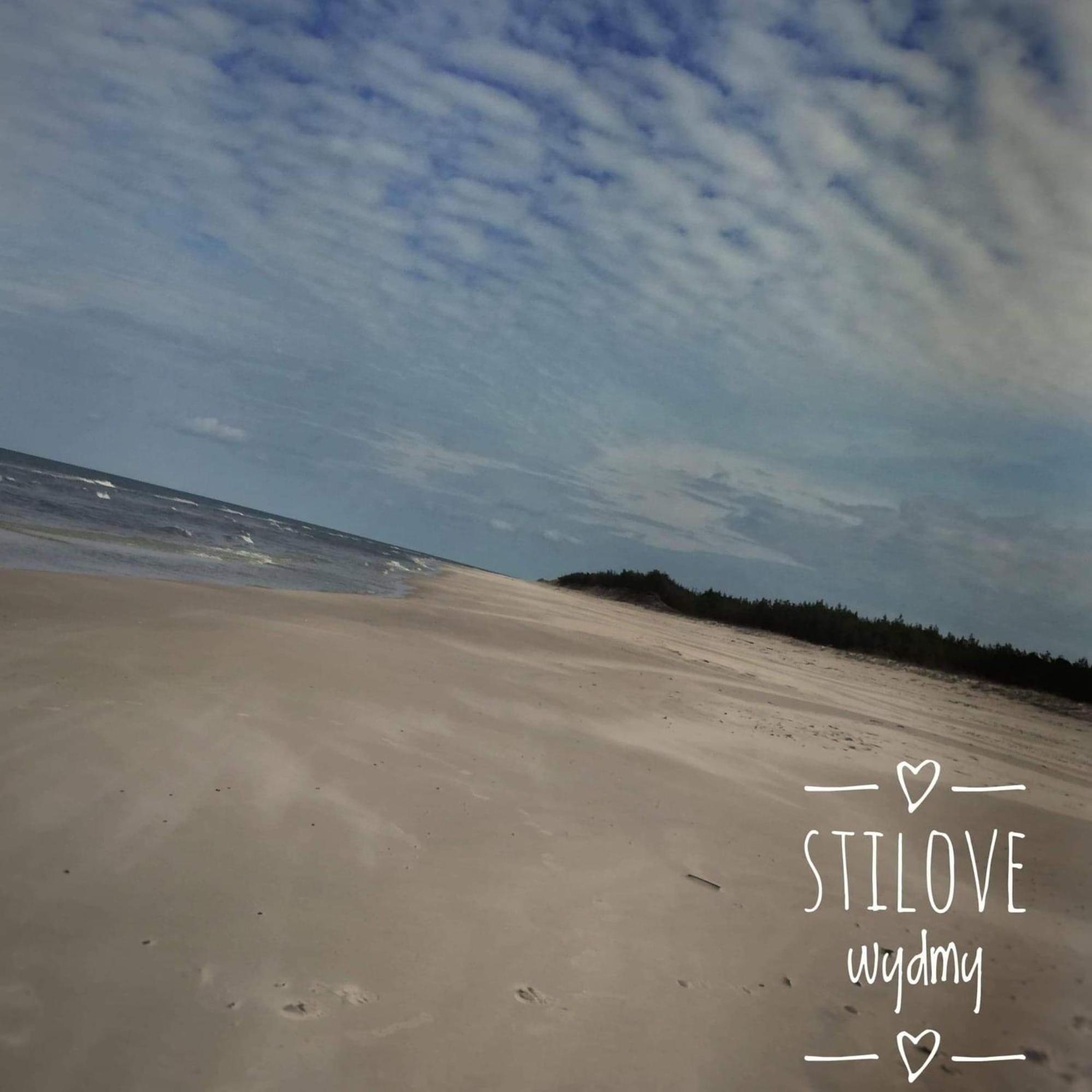 Stilove Wydmy Sasino Esterno foto
